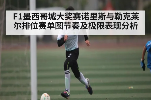 F1墨西哥城大奖赛诺里斯与勒克莱尔排位赛单圈节奏及极限表现分析